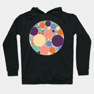 Circles Filled With Fresh Spring Colours Hoodie